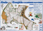 Dub Trojk (2007)
